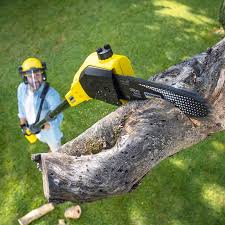 Best Tree Trimming and Pruning  in Groveville, NJ