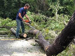 Best Utility Line Clearance  in Groveville, NJ